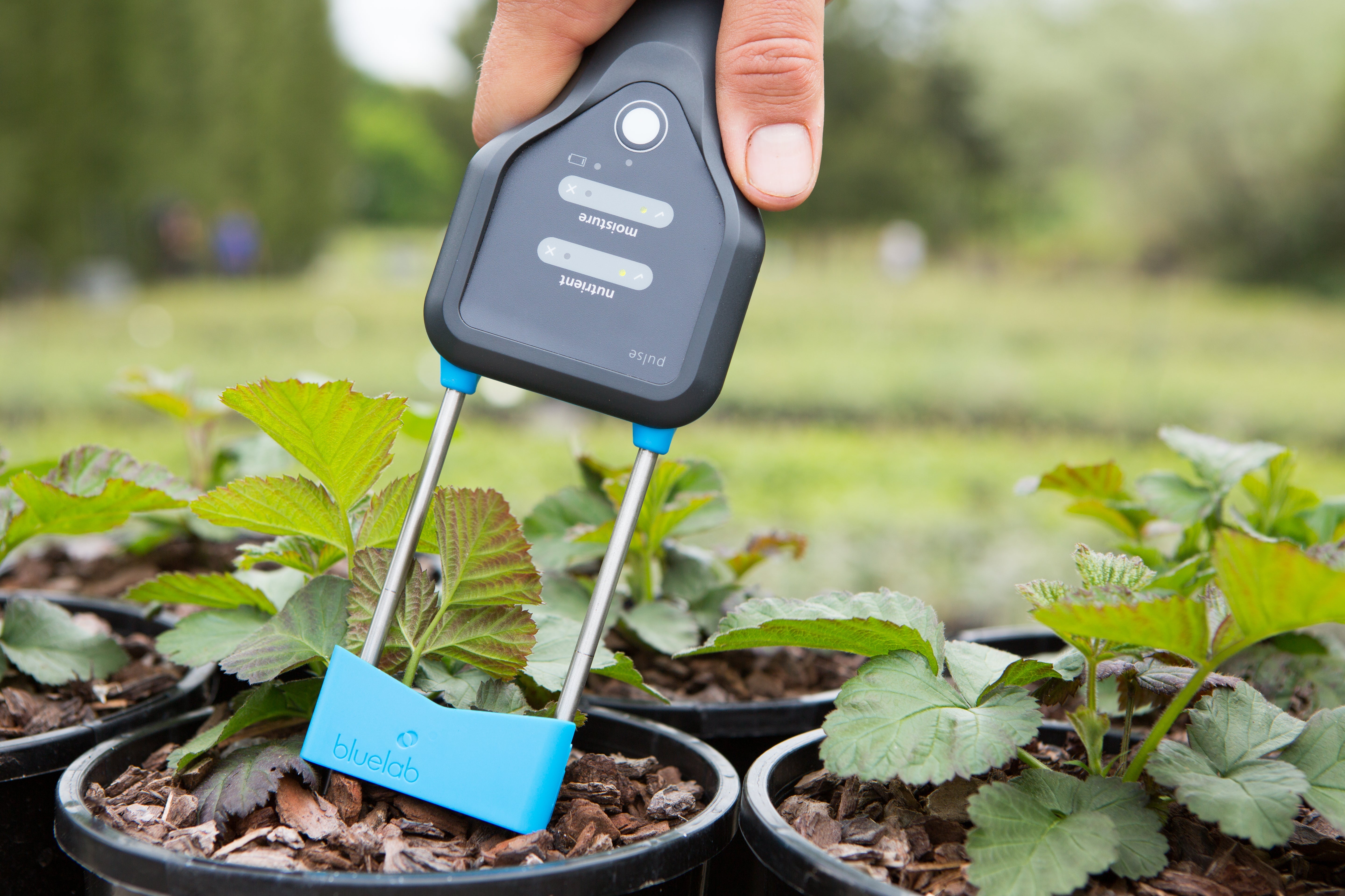 Bluelab Truncheon栄養素メーター 植物発芽のためのBluelab Commercial Americas Hort » Meter Nutrient Truncheon その他