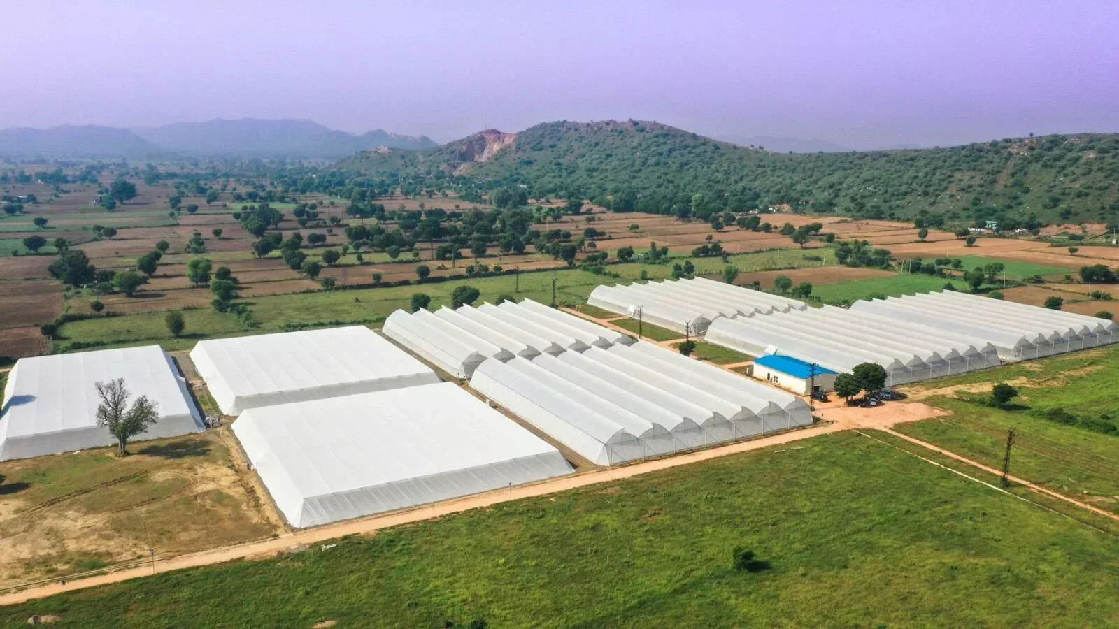 Growers of the World Series - Vardan Agrotech, India