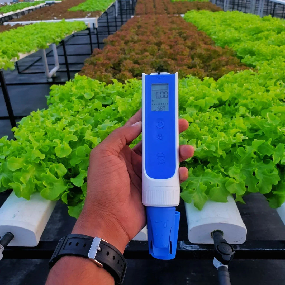 Accurate pH and EC: A Grower in the Maldives Upgrades to OnePen™