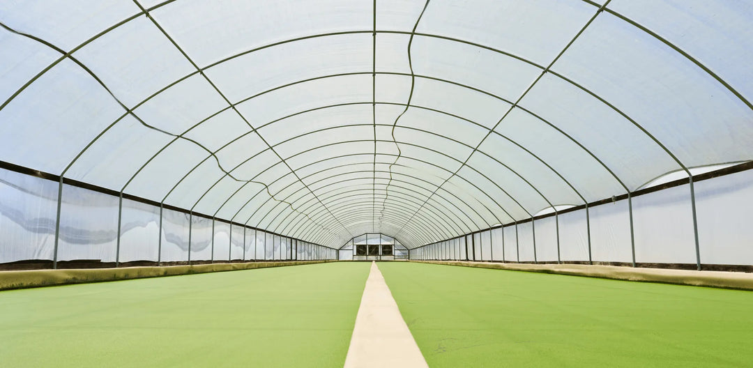 Experts weigh in on the Future of CEA