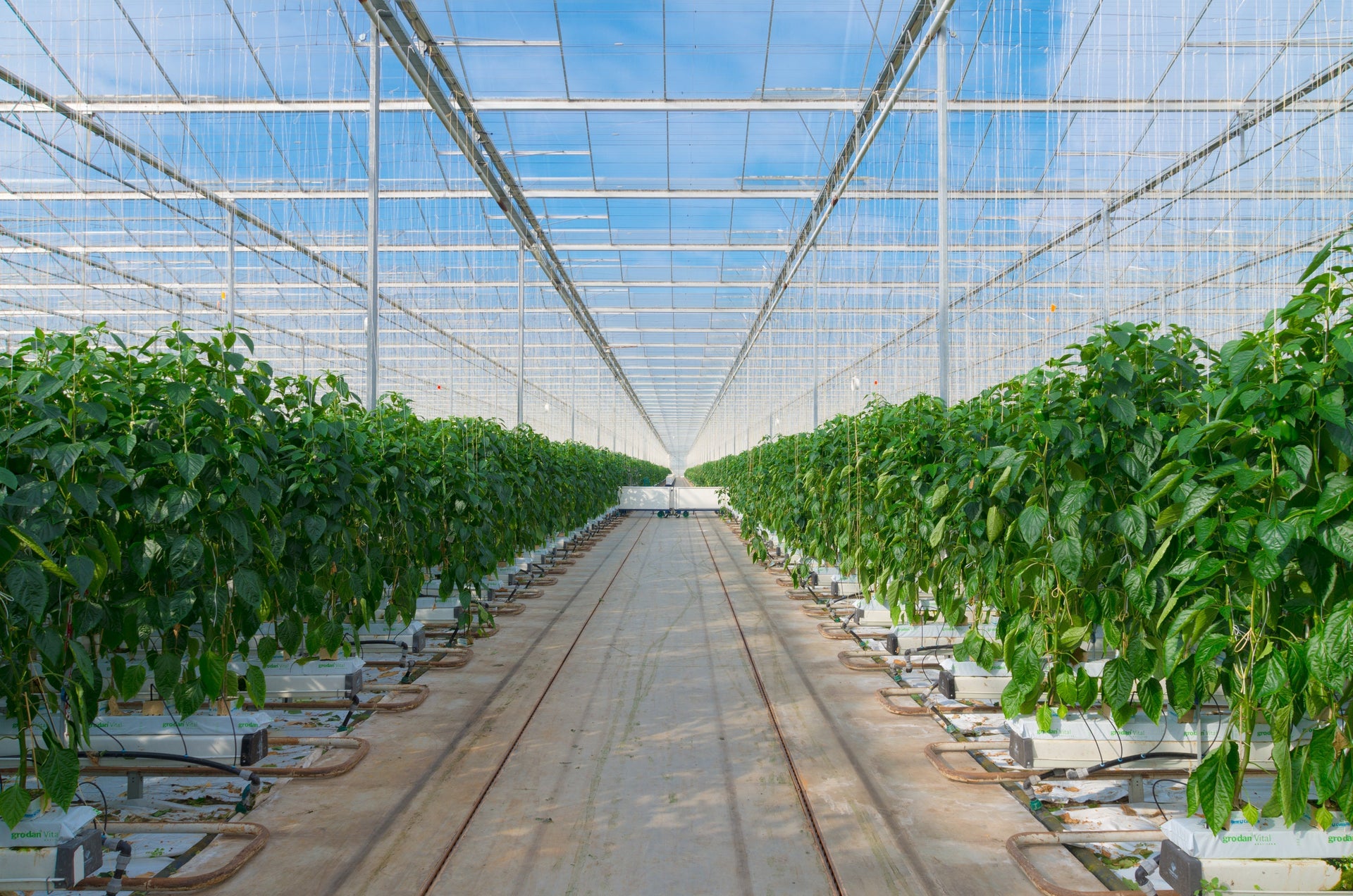 Batch Dosing vs Direct Injection: Understanding Fertigation Methods ...