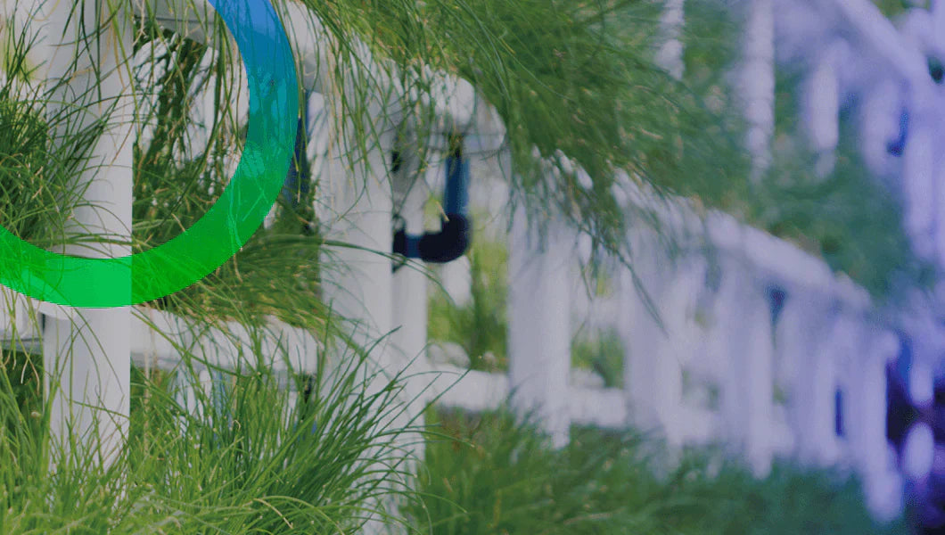 How experts in CEA grow more food with less resources