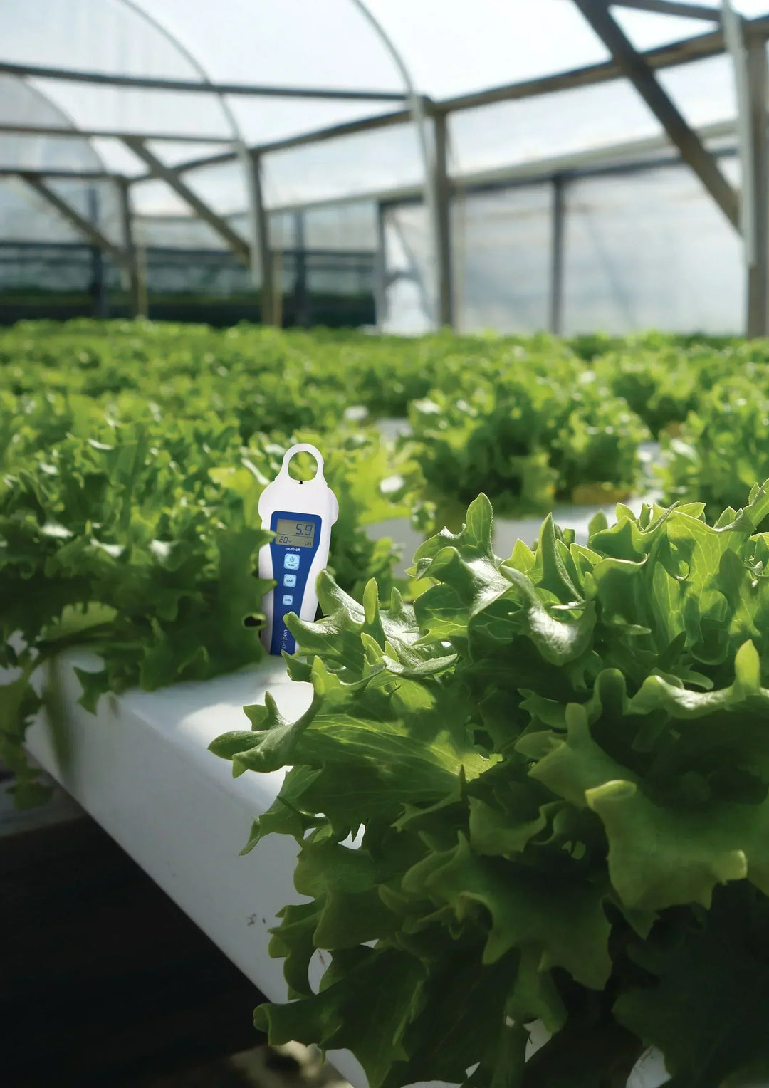 Can I use Bluelab products for hydroponics?