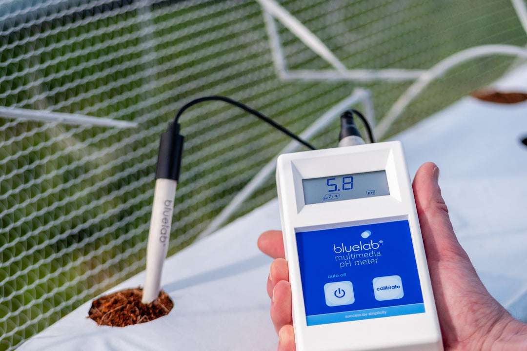 How to Measure Soil pH Accurately for Healthier Plants