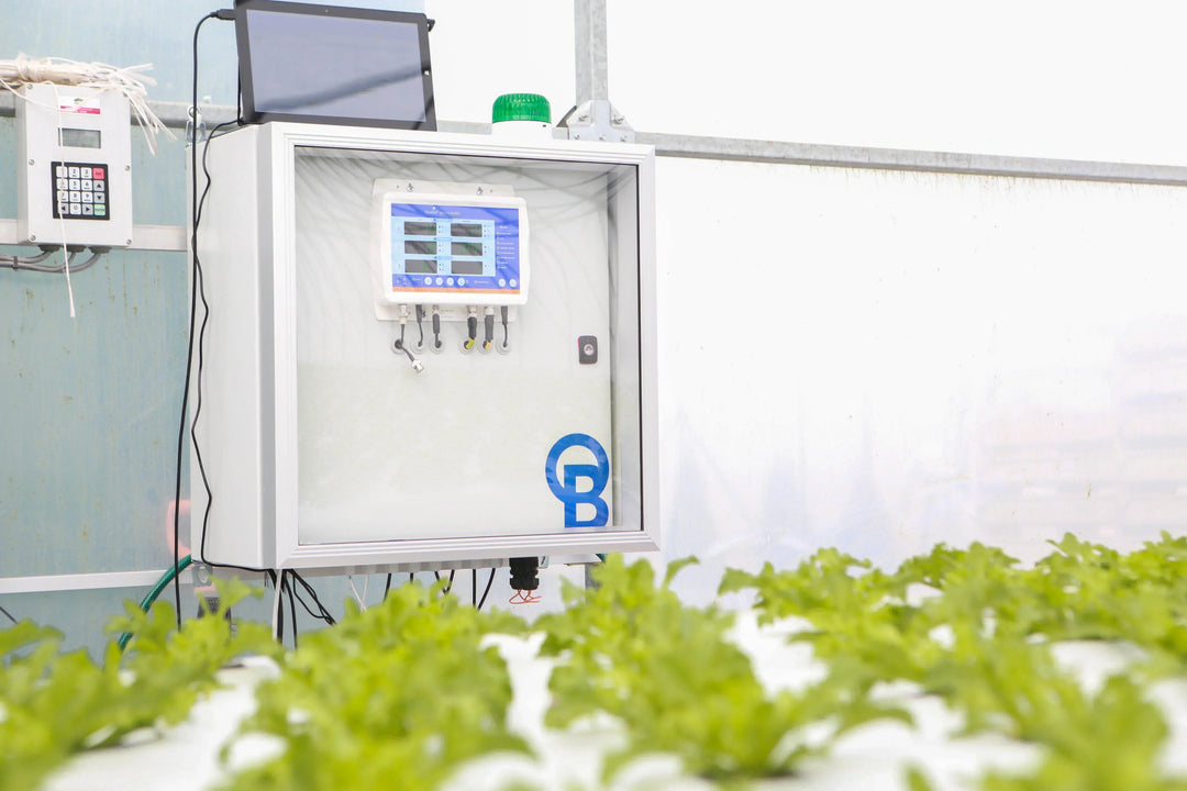 Healthy, profitable crops for customers from day one with Bluelab Pro Controller