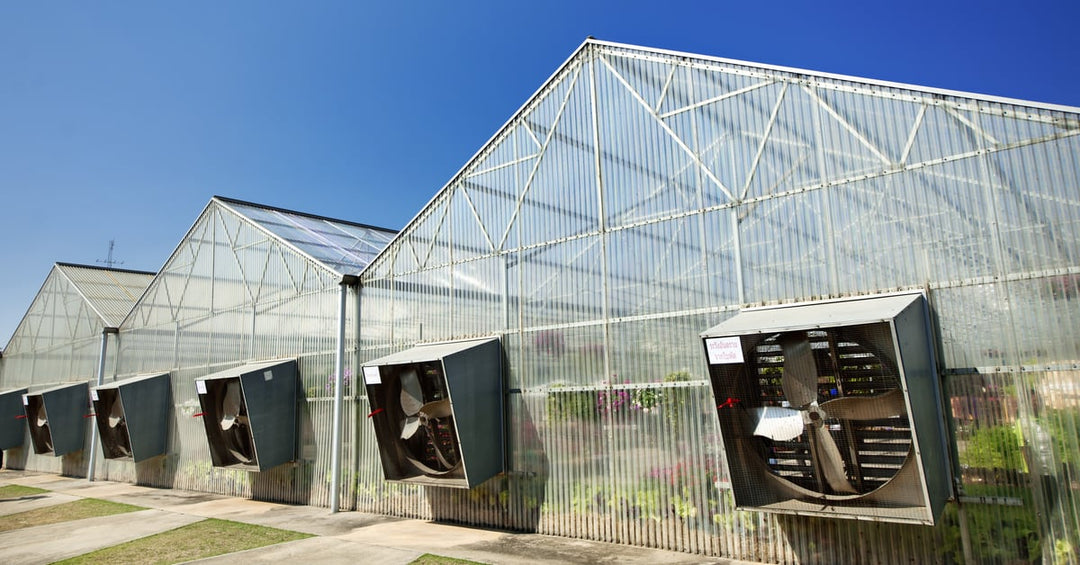 Greenhouse Fans: Horizontal Airflow Fans vs. Exhaust Fans