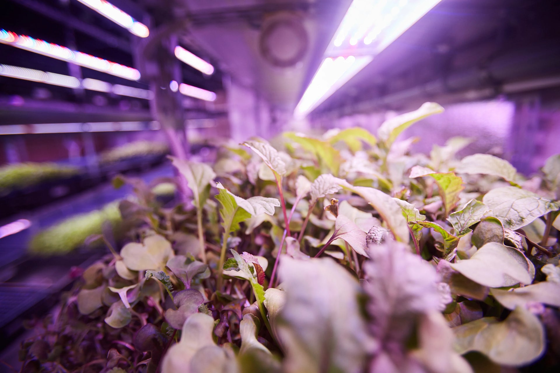 Cornell University – Pro Controller case study