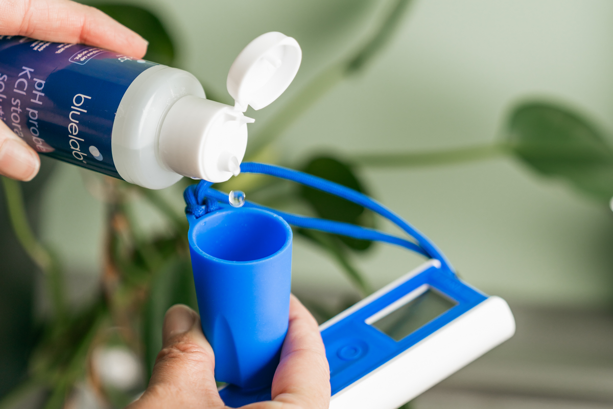 Solutions & Maintenance