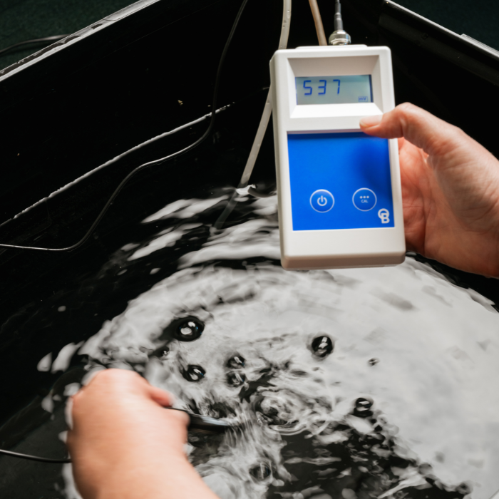 Bluelab ORP Meter