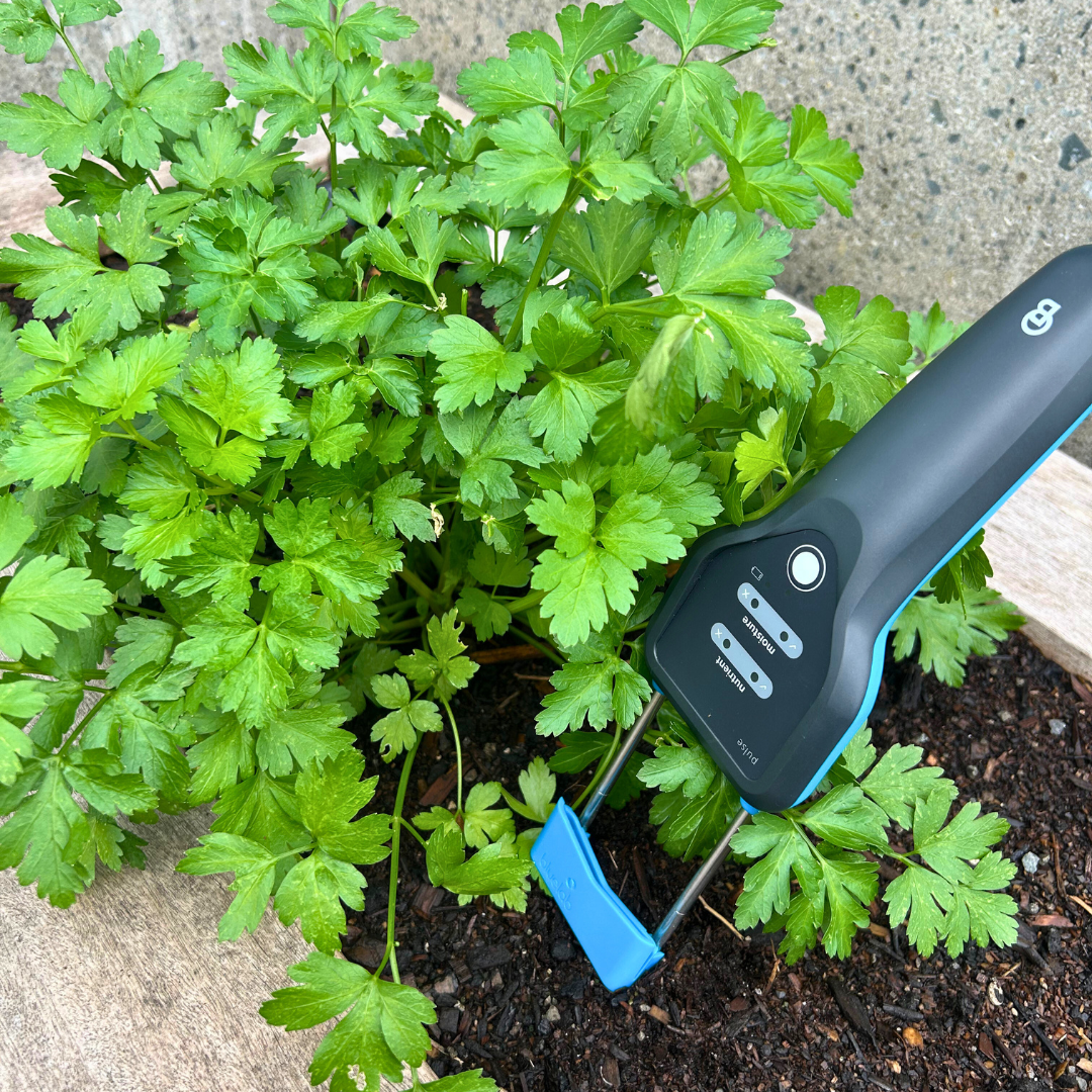 blue lab soil moisture meter Bluelab Pulse Multimedia EC/MC Meter