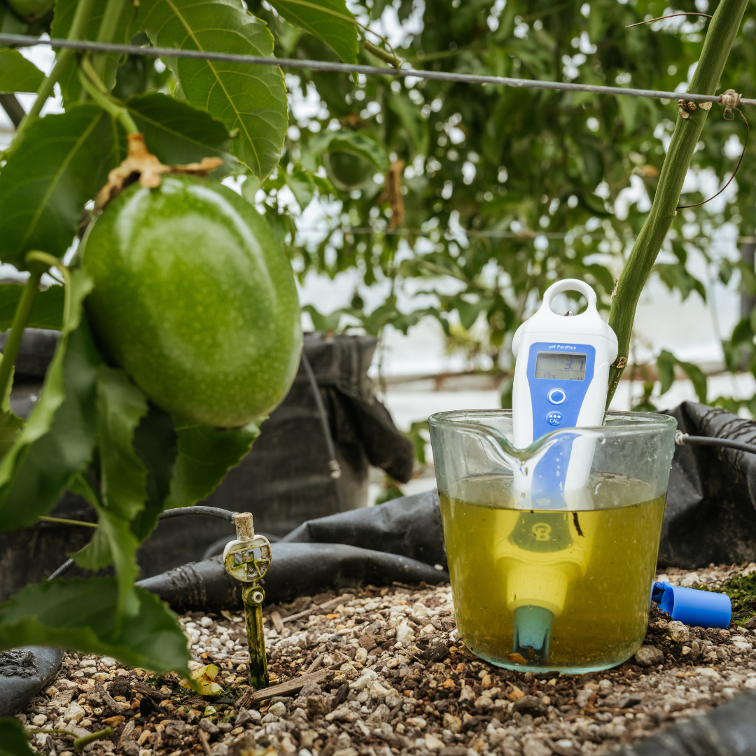 Bluelab pH PenPlus – Bluelab USA