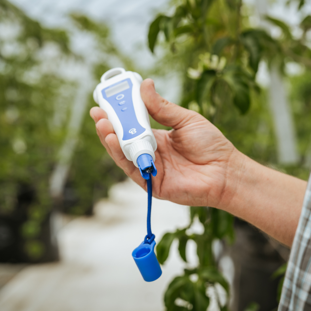 Bluelab pH ProbePlus