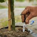 Bluelab Soil pH Probe
