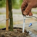 Bluelab Soil pH Meter