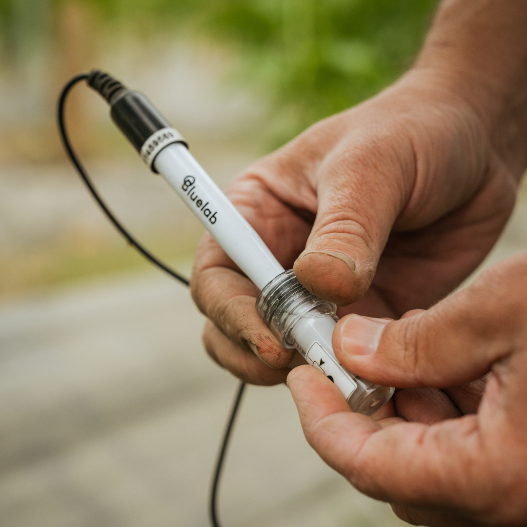 Bluelab Soil pH Probe