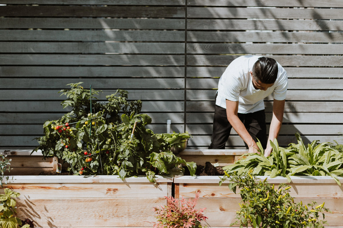 Fertile GroundWorks: A community garden that champions plant education and charitable giving