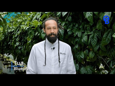 Bluelab pH Pen